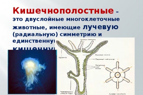 При входе на кракен пишет вы забанены