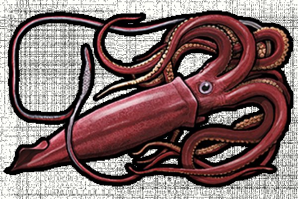 Kra34.cc