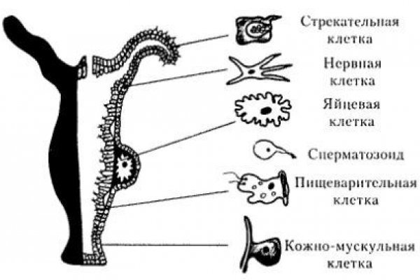 Кракен наркоман