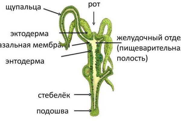 Кракен портал